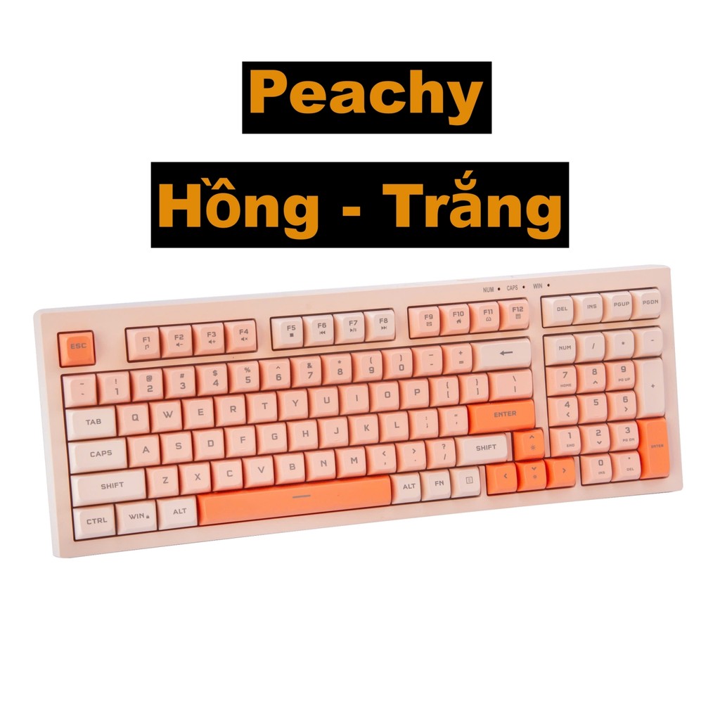 Bàn phím văn phòng P5 Paynan Peachy chống ồn kết nối cáp rời 98 phím đèn led trắng  keycap màu cổ điển | BigBuy360 - bigbuy360.vn