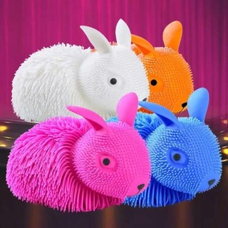 Đồ chơi cảm giác SAVORBOX, Đồ chơi giảm căng thẳng cho chó dễ thương, Đồ chơi giải nén hỗ trợ lo âu cho thỏ PVC