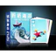 Boardgame Sea Salt & Paper Top Card Boardgame Tigar