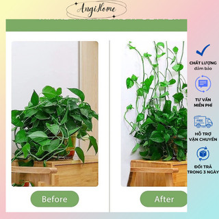 Set 10 kẹp cố định cho cây leo tường hình chiếc lá ANGIHOME