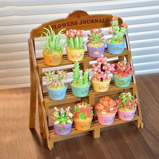 Mô hình chậu mọng nước YMIFI, Đồ chơi giáo dục Khối xây dựng chậu hoa DIY, Gạch bé gái Đồ chơi trẻ em Bàn làm việc tại nhà Bộ khối xây dựng mọng nước