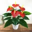 Lòng bàn tay đỏ nhân tạo GAVESTO, Cây thảo mộc lớn 35 / 50CM Cây cây xanh Anthurium giả, Máy làm mát lòng bàn tay nhân tạo bằng nhựa Trang trí phòng khách