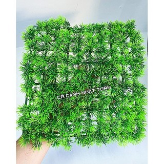 Thảm cỏ Thiên Lý nhân tạo lót nền, trang trí bể cá, tiểu cảnh