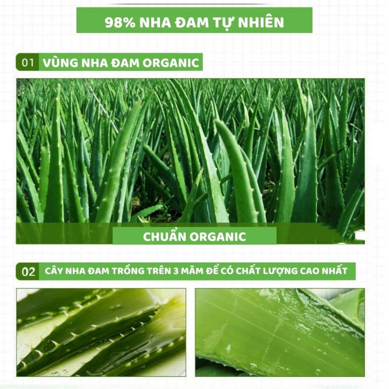Sản Phẩm Gel Dưỡng Da Zapat Nha Đam - gel dưỡng da Zapat nha đam