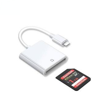 Đầu đọc thẻ Sd cho máy ảnh điện thoại, Đầu đọc thẻ nhớ khe cắm thẻ nhớ kép Hỗ trợ thẻ Sd và TF Trail Camera Viewer Sd Card Ad