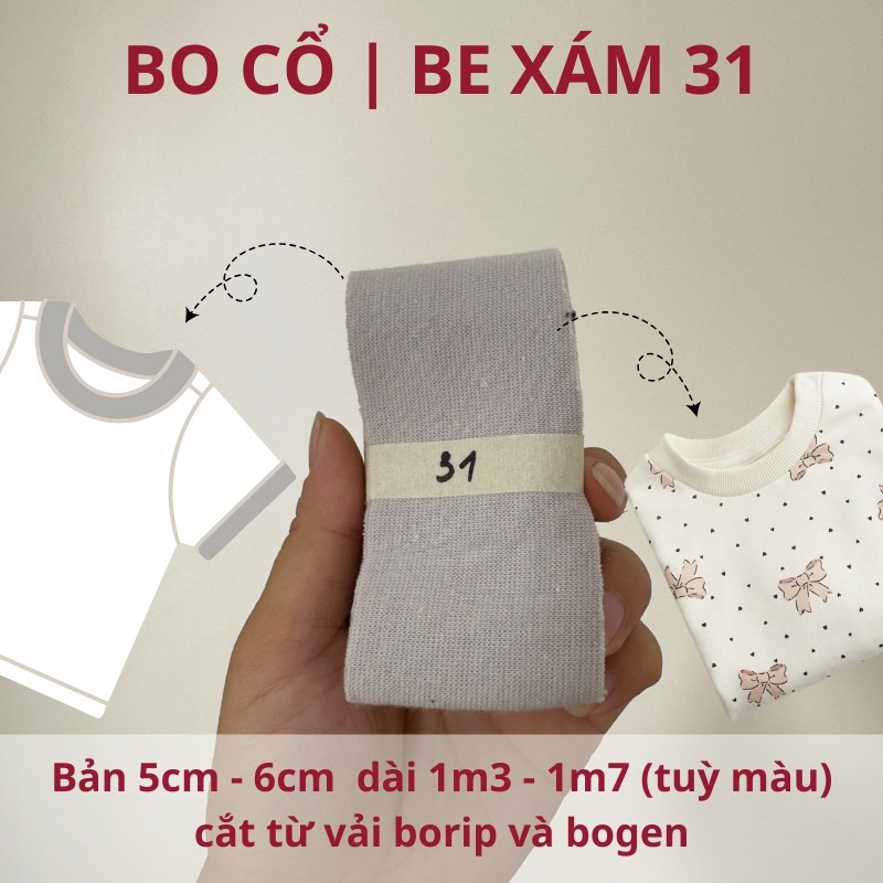 số 31