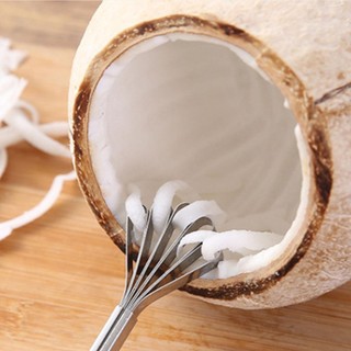 Dụng cụ cạo dừa Dụng cụ cạo bằng thép không gỉ Máy hủy tài liệu Dụng cụ loại bỏ thịt dừa Tay cầm dài có móc Dụng cụ gọt vỏ trái cây đa chức năng shopidaevn