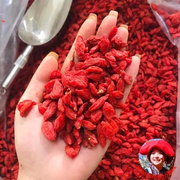 Câu kỷ tử, kỷ tử đỏ Ninh Hạ, quả to, đỏ, đều, kỉ tử đỏ ngọt hữu cơ sấy khô, kỳ tử, kì tử đỏ giúp đẹp da, bổ máu, dễ ngủ