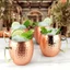 Cốc thép không gỉ DONOVANQQ, Nga Drinkware Moscow Mule Mug, Đồ dùng dự tiệc Thanh Dụng cụ Cốc rượu Bia Thanh