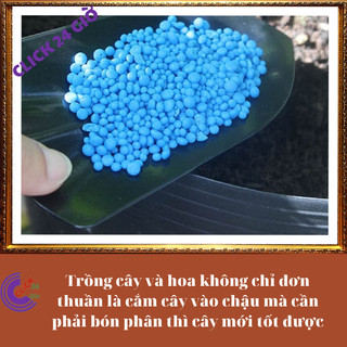 Phân bón NPK 30-10-10 chuyên dùng cho hoa và cây cảnh 🔺 MiMa market