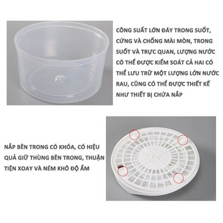 Rổ quay rau chính hãng làm ráo rau ngay tức thì, Tiện Lợi Vắt Rau Nhanh, Bền Đẹp