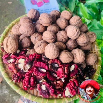 Hạt óc chó đỏ Mỹ nguyên vỏ, hạt quả óc chó hữu cơ loại 1 (500g, 1kg) chưa tách vỏ, nhân óc chó đỏ mỹ, vàng làm sữa hạt