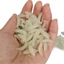Treeling 50 Chiếc Mồi Câu Cá Silicon Mồi Nhân Tạo Mềm Wobblers Mồi Dễ Sử Dụng