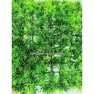 Thảm cỏ Thiên Lý nhân tạo lót nền, trang trí bể cá, tiểu cảnh