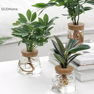 Gcdhome Chậu hoa trong suốt Thủy tinh giả Chậu hoa không đất Bình hoa nhà HOT