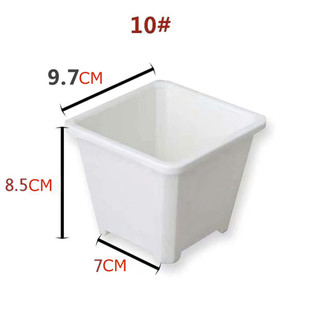 COMBO 10 CHẬU NHỰA VUÔNG, Chậu trồng hoa bằng nhựa dày dặn có, thích hợp trồng sen đá, tai thỏ FETA