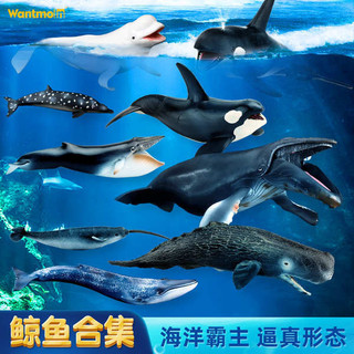 Chơi Mô Hình Âm Nhạc Rắn Động Vật Biển Mô Hình Ghế Đầu Cá Voi Beluga Lan Rộng Thơm Cá Voi Sát Thủ Cá Voi Xanh Cá Voi Cá Voi Đồ Chơi Trẻ Em