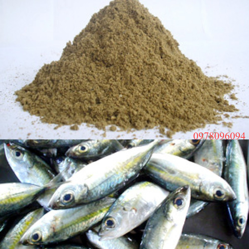 1kg Bột Cá Xay Làm Thức Ăn Cho Gà Bột Cá Xay Làm Mồi Câu Cá Bột Cá Tanh ...