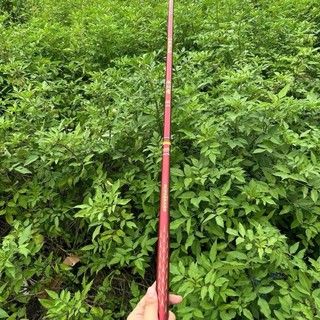 Combo Cần Câu Tay Kẻ Huỷ Diệt 5h 28i F1 Chuyên Rô Riếc Chép Giữ Cá Tốt