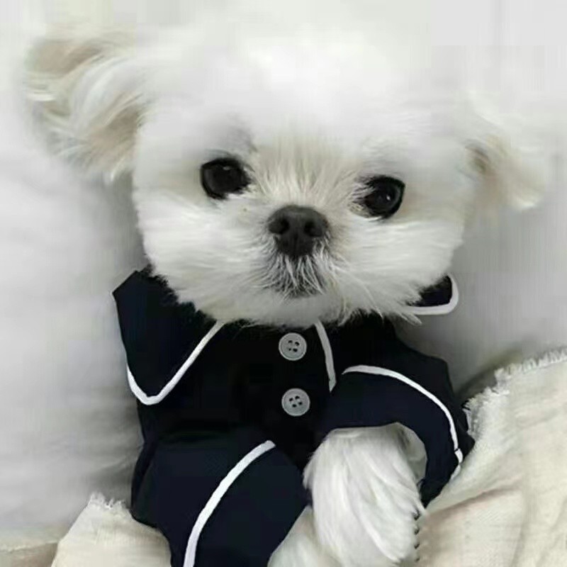 Mùa hè mát mẻ cho chó mèo Quần áo thoáng khí Bộ đồ ngủ Bichon Poodle mỏng thoáng khí