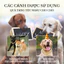 【PET HOUSE】Thời Trang Hợp Kim Vòng Cổ Cho Mèo Đầy Đá Quý Vòng Cổ Cho Chó Mèo Mạ Vàng Vòng Cổ Cho Chó