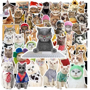 Set 50 Sticker Mèo – Decal Trang Trí Đa Năng | Chống Nước | Dán Sổ Tay, Laptop, Mũ Bảo Hiểm