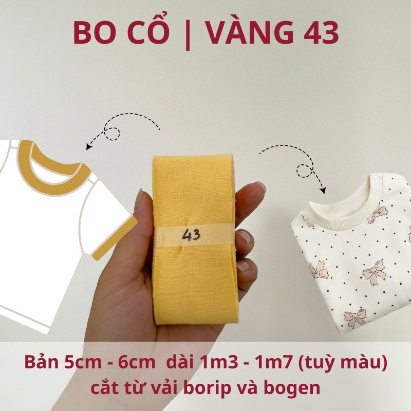 số 43
