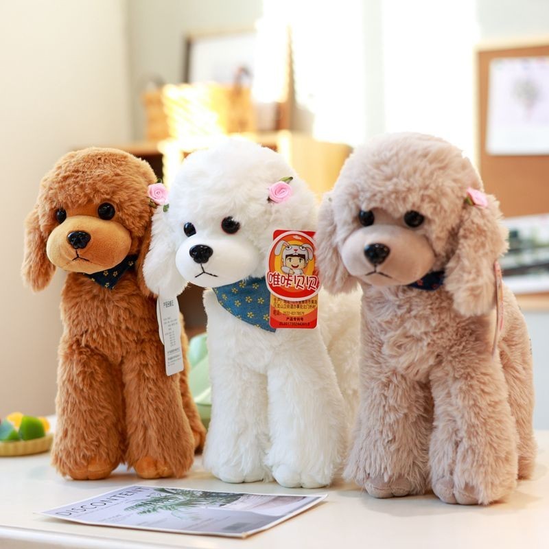 Chính Hãng Poodle Teddy Chó Sang Trọng Đồ Chơi Mô Phỏng Chó Búp Bê ...