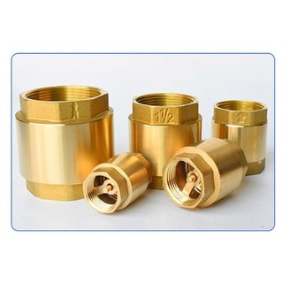 FEIYING 1 Van Một Chiều, Van Kiểm Tra Bằng Đồng NPT Lò Xo Sợi Nữ, Hệ Thống Bể Cá Tưới 1 / 2 "3 / 4" 1 "2" DN15 DN20 DN25 Cho Van Chống Chảy Ngược Kiểm Soát Nước