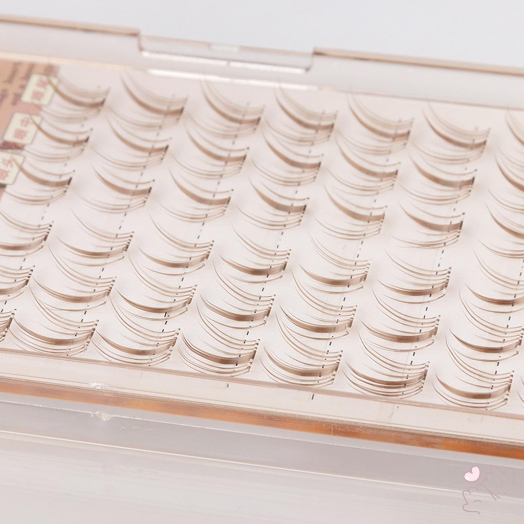 Cụm mi dán sẵn 10-12mm Ấn dày đặc vào cụm mi