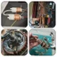 GAVESTO 1 Cuộn Dây Ống Đồng, OD 2-12mm ID 1-10mm Đồng T2 Mềm, Bền 1 Mét 99,9% Dây Đồng Nguyên Chất Điều Hòa Làm Mát