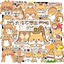 Hộp 50 Sticker Hình CHÓ SHIBA Decal Phản Quang 7 Màu Halogram Chống Nước NSX Gì Cũng In | MS: 000113