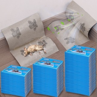 5 / 10 / 20 Cái Bảng Keo Chuột Dính Cao - Máy Bắt Chuột Thân Thiện Với Môi Trường Không Độc Hại