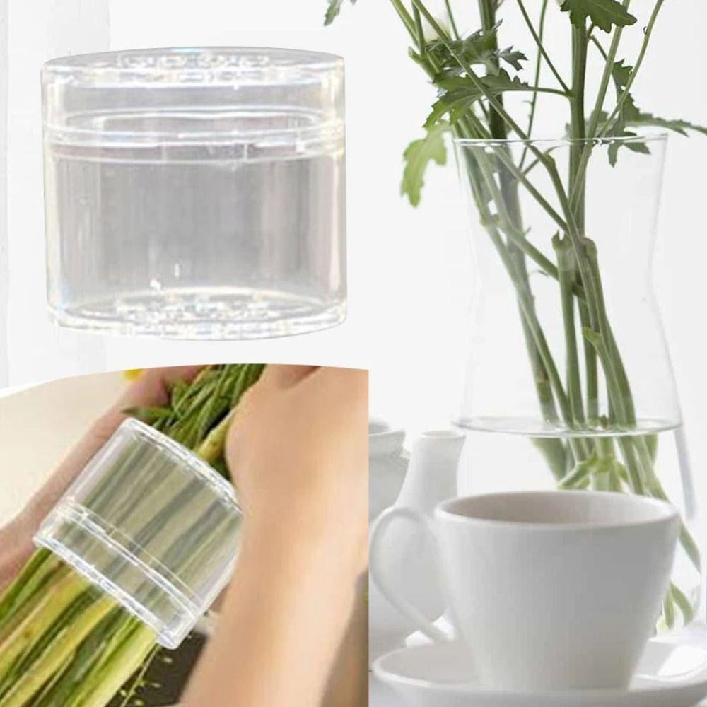 CATIYAHA Giá đỡ thân hình xoắn ốc cho bình, Giá đỡ sắp xếp DIY Giá đỡ thân cây Ikebana xoắn ốc bằng nhựa, Bó hoa trong suốt Dụng cụ sắp xếp hoa Dụng cụ sắp xếp hoa Bó hoa Twister