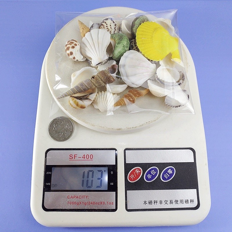 100g Vỏ Ốc Vỏ Sò Mix Nhiều Loại