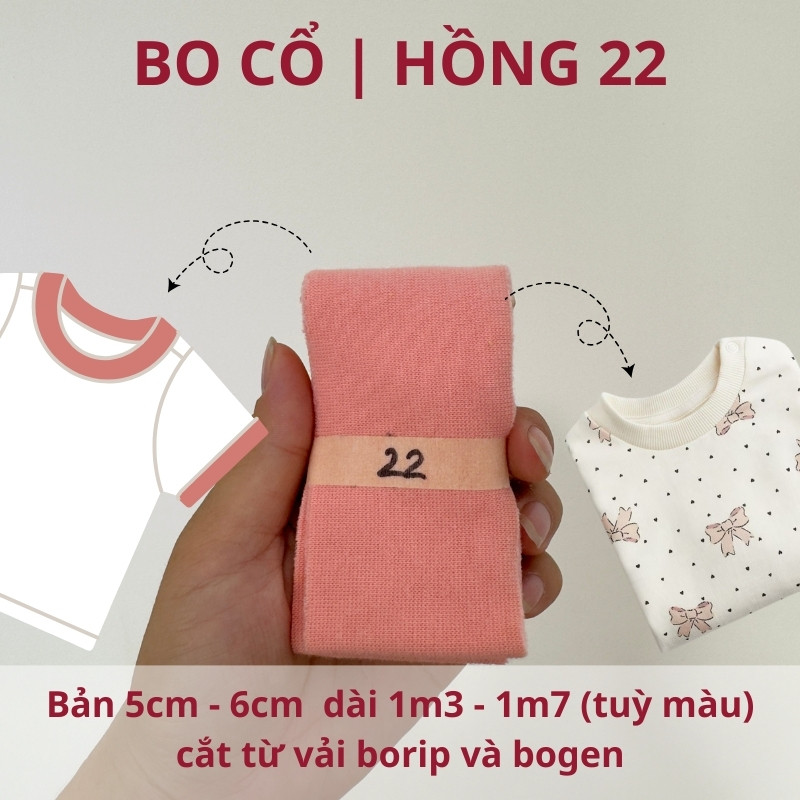 số 22