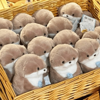 Gấu Bông Rái Cá Thú Nhồi Bông Đáng Yêu Vô Tri Cute Mẫu Hotrend NGÓI HOME - GB03