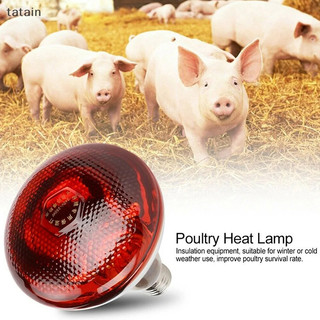Tatain 250W Đèn sưởi hồng ngoại gia cầm Bóng đèn dày chống nước chống nổ ​Dành Cho Heo Con Vịt Gà Chim E27 Đèn Heag VN