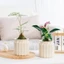 FANIELLAPOWELL Chậu hoa, Chậu cây thủy canh có thể tháo rời bằng nhựa, Trang trí cây cảnh văn phòng tự tưới cây cảnh