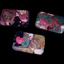 Huy hiệu phản chiếu kép Anime Alienstage - Bộ sưu tập hình vuông Mizi, Ivan & Tillsua (44x70mm, Lấp Lánh + Lớp phủ ba chiều)