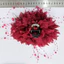 Vuốt Tóc MERIGGIARE, Kẹp Cắt Hoa Mẫu Đơn, Tua Rua Nhựa Thời Trang Hoa Hairgrips Cô Gái