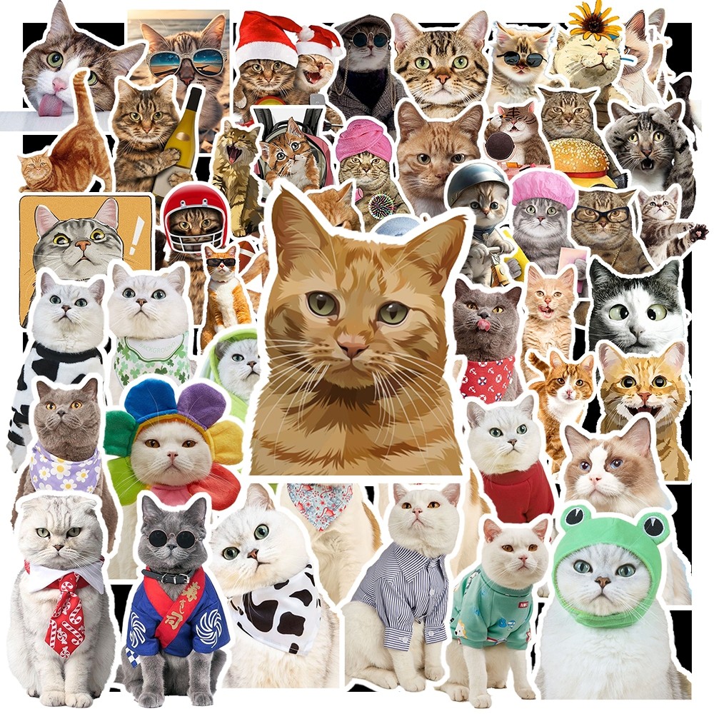 Set 50 Sticker Mèo  – Decal Trang Trí Đa Năng | Chống Nước | Dán Sổ Tay, Laptop, Mũ Bảo Hiểm