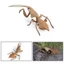 FUHUIOT Mantis Figurine, Đồ trang trí Côn trùng mô phỏng thực tế, Đồ chơi khoa học Động vật Giáo dục Nhận thức Cầu nguyện Mô hình bọ ngựa Đồ chơi trẻ em