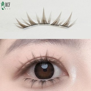 Hàng mi cá nhân 10-12mm Hiệu ứng 3D Lash riêng lẻ