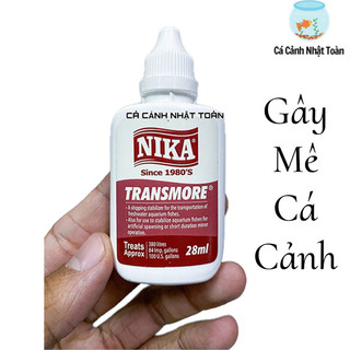 Nika Transome dung dịch gây mê cho cá Rồng cá cảnh