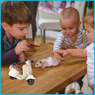 Chuột Lang Đồ Chơi Xoay Boredom Giảm Xe Tay Ga Hamster Đồ Chơi Ngộ nghĩnh Hamster Xe Tay Ga Có Đèn & Âm Nhạc Điện enmdavn
