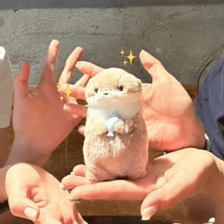 Gấu Bông Rái Cá Thú Nhồi Bông Đáng Yêu Vô Tri Cute Mẫu Hotrend NGÓI HOME - GB03