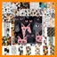 Bộ Combo 50 Sticker Hình HỘI MÈO ĐÁNG YÊU - Decal Chống Nước | MS: 000161