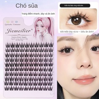 100 bộ mi giả kiểu chó không cần keo