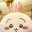 ST2 Chiikawa Hachiware Usagi Hoạt Hình Búp Bê Dễ Thương Sang Trọng Gối Nữ Nhà Sofa Lưng Đệm Ngủ Gối TS2